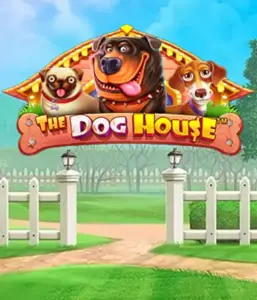 Из Pragmatic Play приходит приключении The Dog House, приносящий вам прекрасное путешествие в мире очаровательных собак. Откройте для себя игровых элементах таких как множители, направленных на доставления волнующих выигрышей. Идеально подходит для энтузиастов животных веселую обстановку наряду с щедрыми наградами.